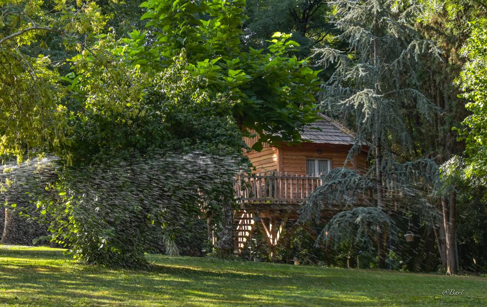 location cabane perchee spa Bergerac