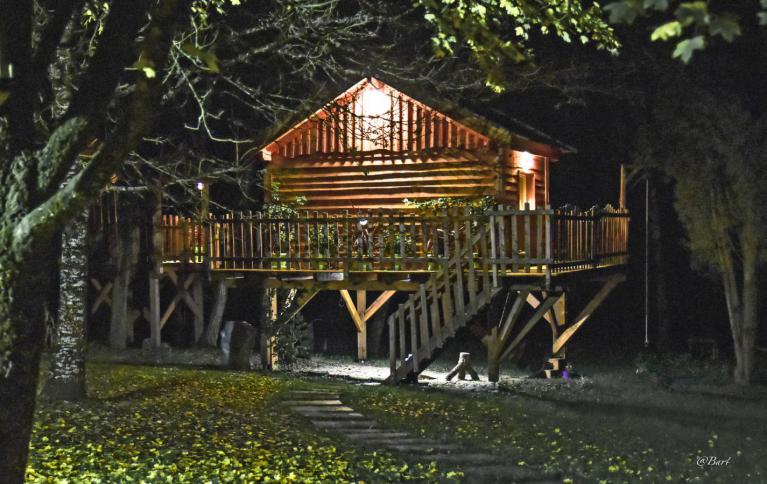 escapade cabane dans les arbres nuit amoureux