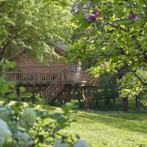 cabane perchée vue du parc